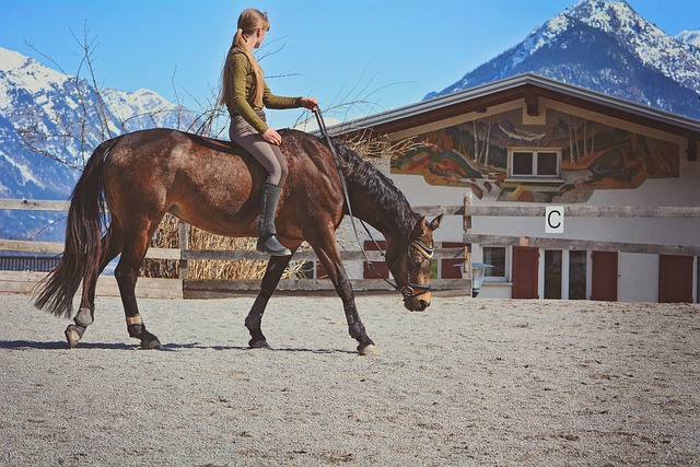 Нуждаете ли се от специално облекло за конна езда?